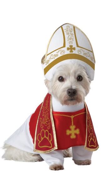 Holy Hound Dog Costume Pet Costumes Dog Halloween Pet Halloween