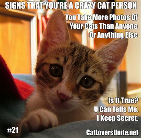 Crazy Cat Person 21