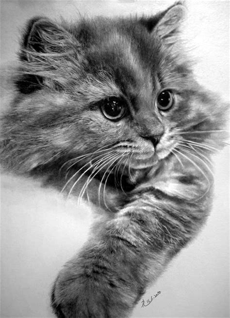 #trop mignon #mais tellement chiant. 1001 + images de dessin réaliste et astuces pour améliorer ...