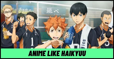 Discover Animes Like Haikyuu Best In Coedo Com Vn