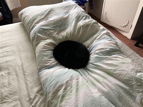 布団にブラックホールが出現！ベンタブラックみたいに真っ黒な猫さんの画像に驚き「猫は液体にもブラックホールにもなれる」 togetter