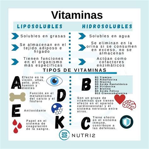 Vitaminas Hidrosolubles Y Liposolubles Nutri2 Cosas De Enfermeria