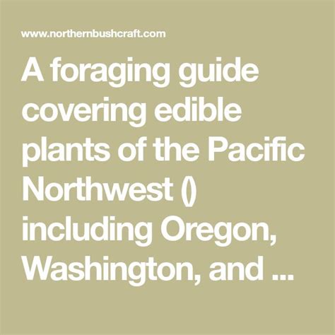 A Foraging Guide Covering Edible Plants Of The Pacific Northwest