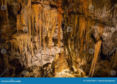 View Of Stalactites And Stalagmites In An Underground Cavern Postojna