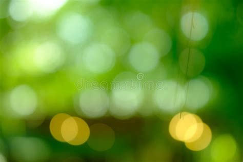 Defocused Abstract Nature Background With Green Leaves And Bokeh Lights