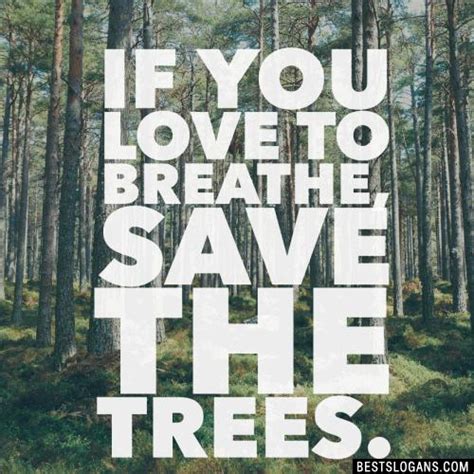 Save Trees Slogans Food Ideas