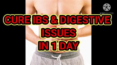 cure ibs digestive disorders with ayurvedic medicine youtube