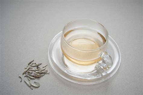 The answer is more complicated than you might think! White Tea Caffeine Content, Preparation and Origins