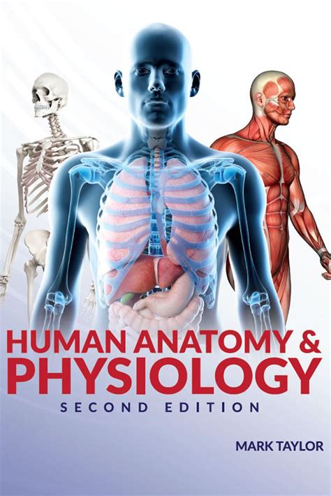 Human Anatomy And Physiology 2nd Edition Linus Ebooks