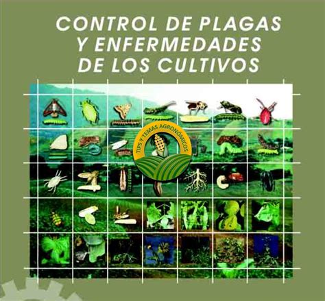 Libros Y Noticias De Agronomia Como Controlar De Plagas Y Enfermedades En Los Cultivos