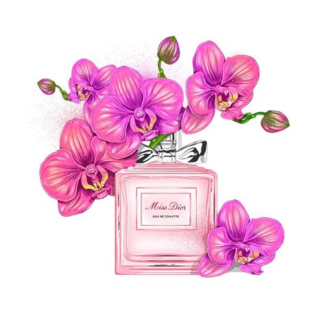 Illustration Parfumandflowers On Behance Flower Illustration Flower