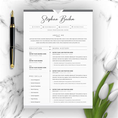 21 Best Contemporary New Styles Resume Cv For 20202021