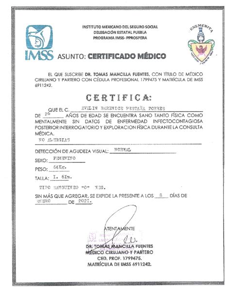 5 Certificado Medico De Salud Pdf Ar