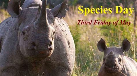 National Endangered Species Day Rare Captions Fun Facts And Faqs Riset