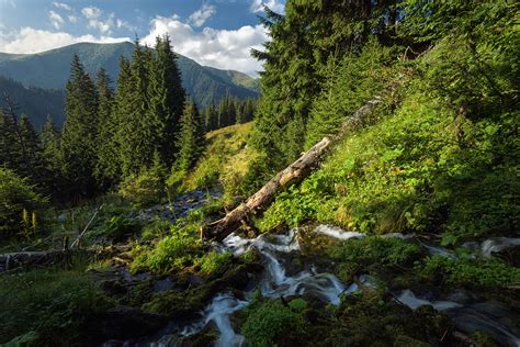 Southern Carpathian Mountains Romania Is One Of The Worlds Greatest