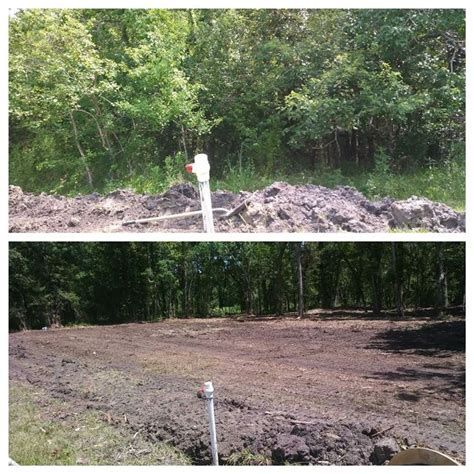 Before And After Mulching And Clearing Future House Pad Area