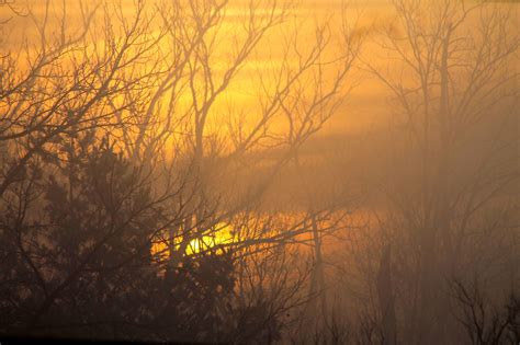 Sun Peaking Through The Fog Foggy Morning Foggy Sunset