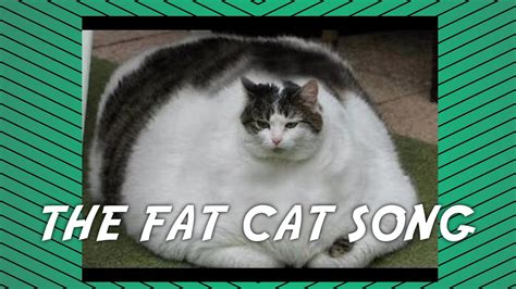 Big Fat Cat Song Youtube