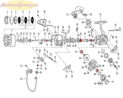 Daiwa BG 2500 Parts Diagram A Complete Visual Guide To Every Component