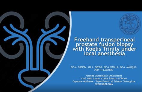 Freehand Transperineal Prostate Fusion Biopsy With Koelis Trinity Under