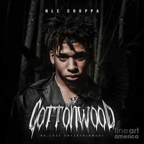 Nle Choppa Cottonwood Poster Canvas Print Wooden Hanging Scroll