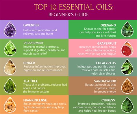 Top 10 Essential Oils The Complete Beginners Guide Viral Rang