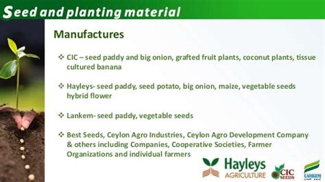 Seeds And Planting Materials Marketing