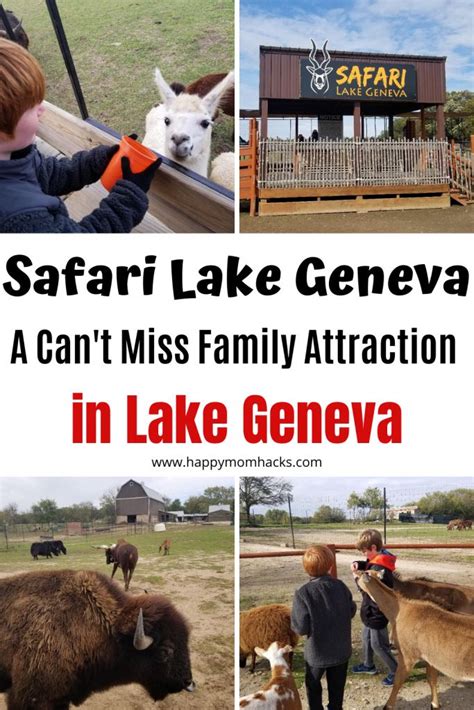 Safari Lake Geneva What To Know Before You Go Happy Mom Hacks In