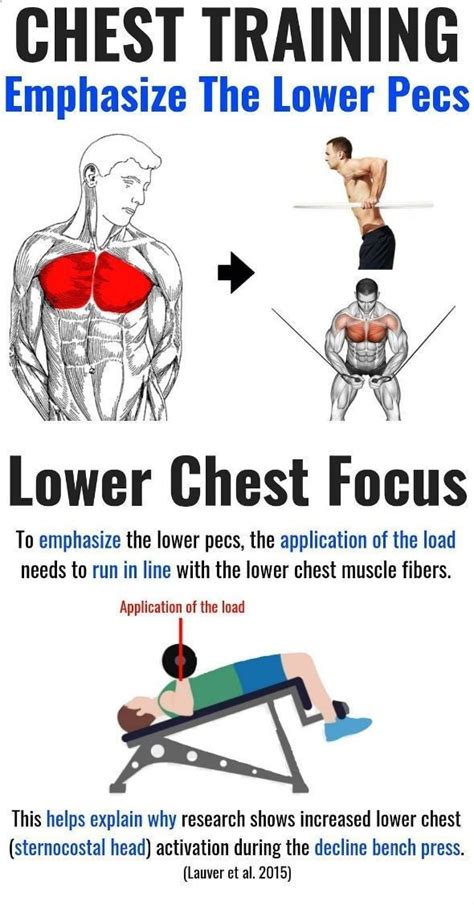 If You Want To Focus On Growing The Lower Pecs You Should Focus On