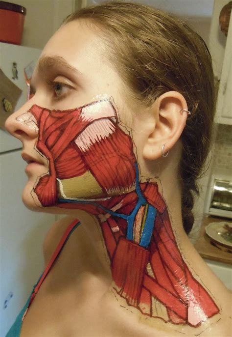 A Woman With The Muscles Painted On Her Face