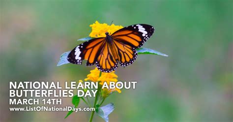 March 14th National Learn About Butterflies Day