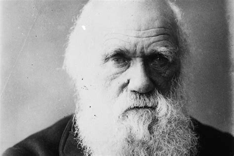 Charles Darwin And The Beagle The National Archives