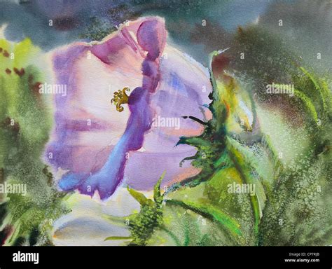 Watercolor Painting Of The Beautiful Flower Stock Photo Alamy