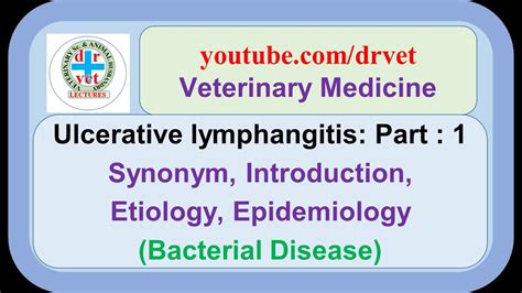 Ulcerative Lymphangitis Part 1 Synonym Introduction Etiology