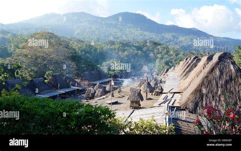 Bena A Traditional Village With Grass Huts Of The Ngada People In Flores Near Bajawa Indonesia