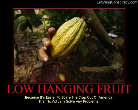 Busplunge Low Hanging Fruit