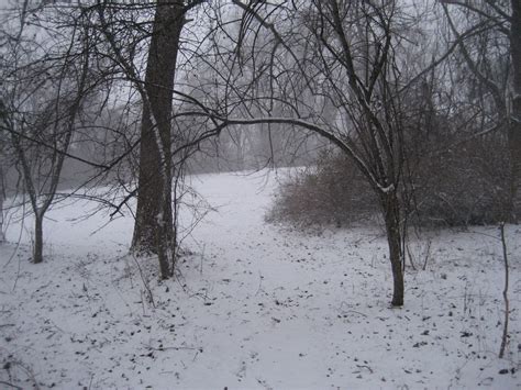 Along Crum Creek Michigan Winter Wonderland Memories