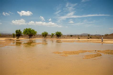 Oasis From Rain Water In Desert Stock Image Image Of Oman Water