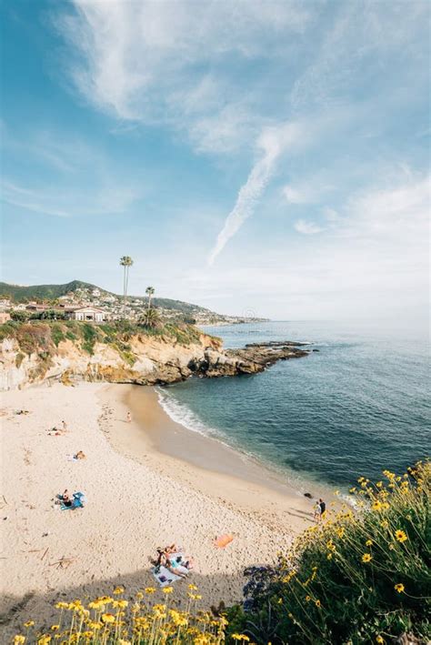 View Of The Beach At Treasure Island Park In Laguna Beach Orange