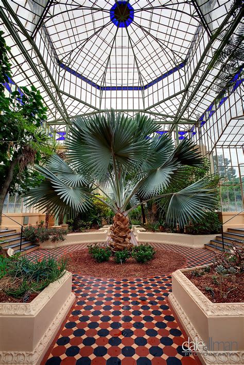 The Palm House Interior Adelaide Botanic Gardens About Sh Flickr