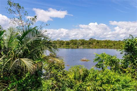 View Of The Lake In The Amazon Rainforest Manaos Brazil Stock Photo