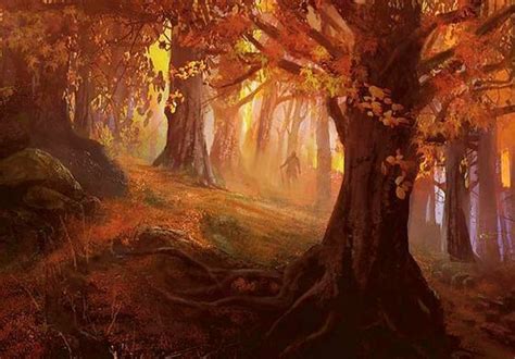 Autumn Forest Land Art Forest Concept Art Art