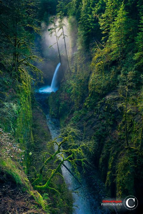 10 Waterfalls In Oregon Thatll Get You Really Wet