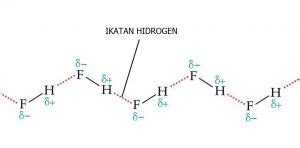 Ikatan Hidrogen pada Molekul HF | MateriKimia