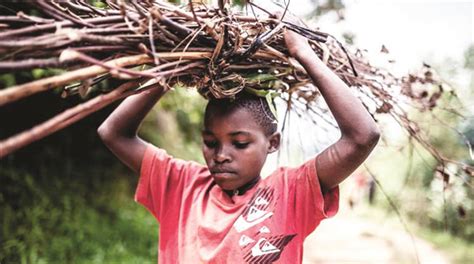Un article de wikipédia, l'encyclopédie libre. Parents using children to fetch firewood in order to evade ...