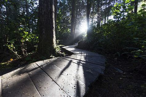 Despite Ranging Terrain And A Dense Forest Vancouver Island Is Home To
