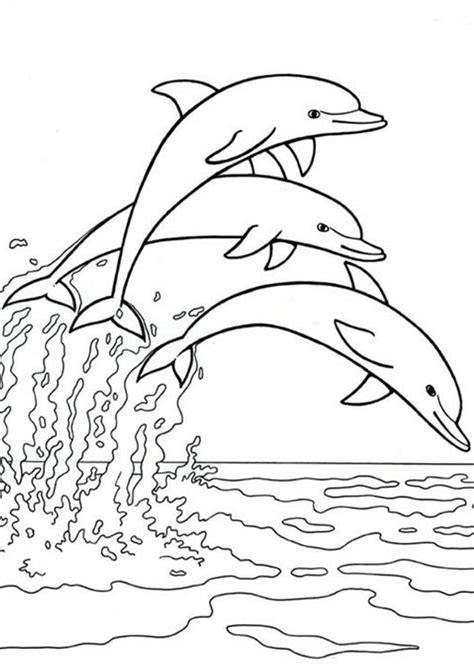 Free Easy To Print Dolphin Coloring Pages Tulamama