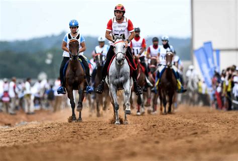 Endurance Riding Start Slow To Finish Strong The Horse