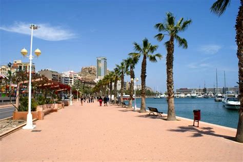 5 pokoi 570 m² wolnostojący. Pogoda Alicante - Alicante - Costa Blanca - Wspólnota ...