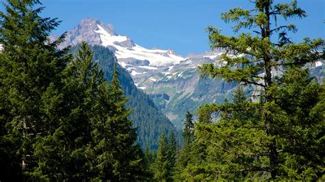 Mount Rainier National Park In Ashford Washington Expedia